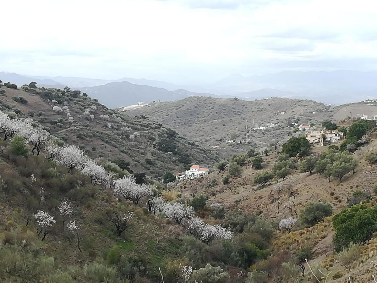 Casa Aguila 2.0 Panzió Los Valverde Kültér fotó
